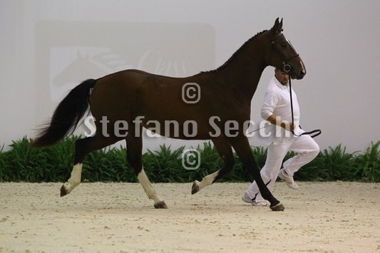 NADA BRAUN_MILANO_2010_SS3_4013.jpg